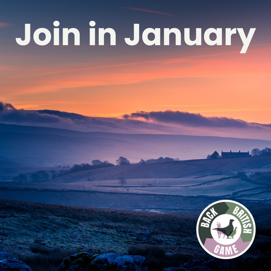 Join In January - Showcase Game