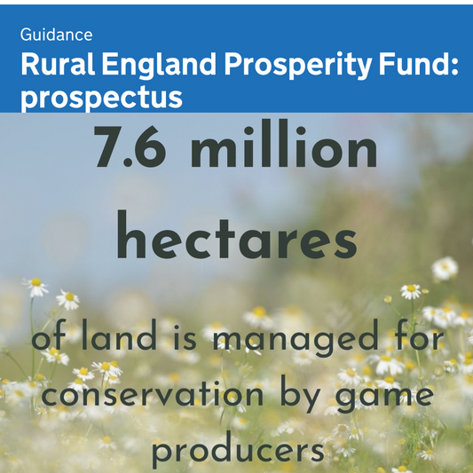 Rural England Prosperity Fund (REPF) 2025-26