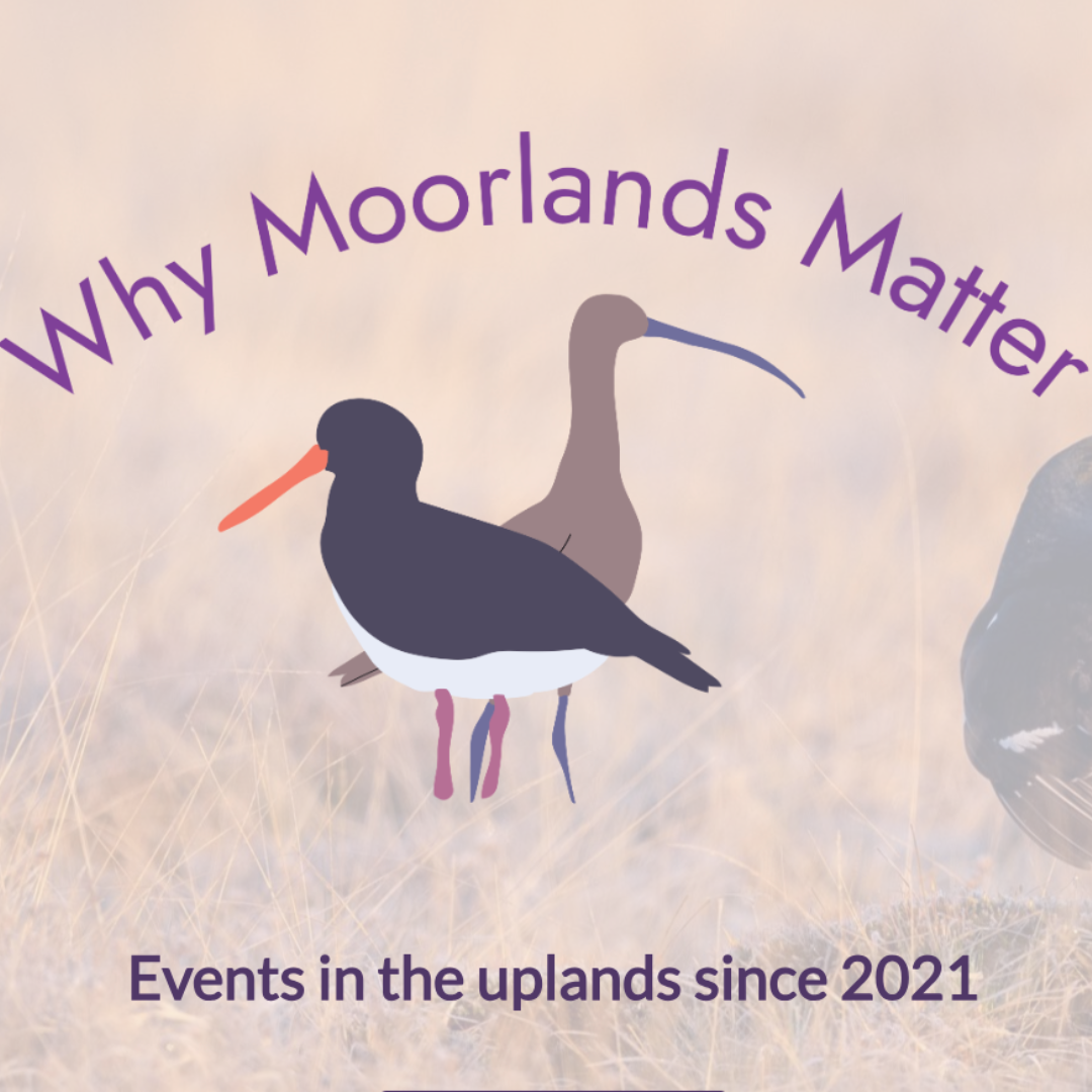 Why Moorlands Matter:- Thoughts From Eat Wild's Sarah After The Event