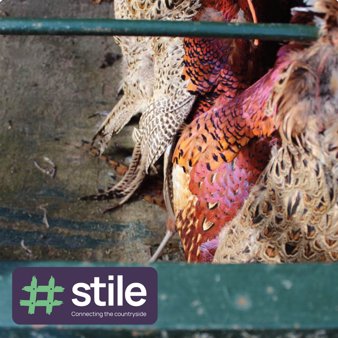 New Stile App is Now Live: Connecting the Countryside.